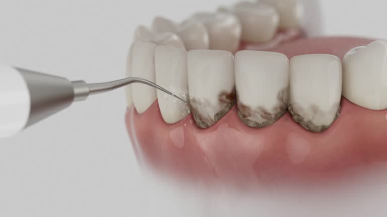 Reliable Dental contractor in Dearborn Heights, MI by Dentist Open Now